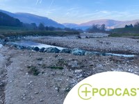 Preveč vode, premalo vode: Ekskurzija v Dunajski gozd