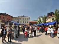 Tolmin nagrajen za občinsko politiko