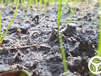 Varčujemo z zemljišči, rešujemo tla!