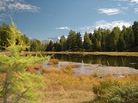 Z mokrišči iz podnebnega morosta
