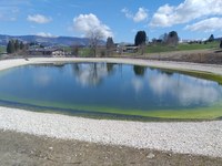 Zimski turizem v podnebni krizi