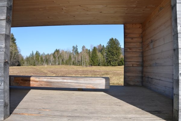 Mokrišča pod žarometi