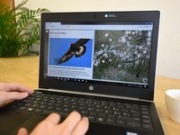 Kalejdoskop alpskih pokrajin