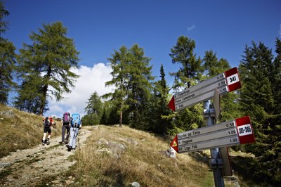 Morje podatkov v gorskem turizmu